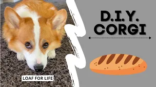 How to Make a CORGI! #bread #dogdad