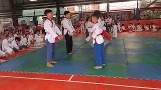 Self Defense red belts promotest