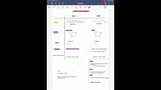 DNA und RNA: Vergleich und Unterschiede