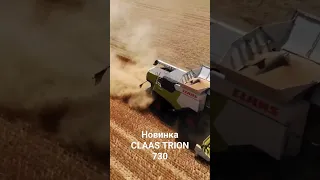 CLAAS TRION 730. Уборка Пшеницы 2023!