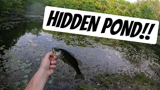 Fishing a HIDDEN POND for WHATEVER BITES (Pond Fishing)