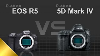 Canon EOS R5 vs Canon EOS 5D Mark IV