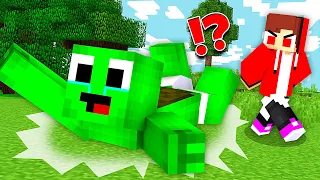 Baby Mikey HURT by the Angry Baby JJ in Minecraft Challenge (Maizen Mazien Mizen)