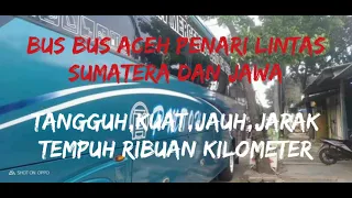 Bus bus Aceh penari lintas sumatera dan jawa