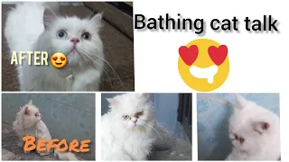 Cat Bath day | Cat bathing | #shorts #cat #cleaning @cute videos  @Kitten Street