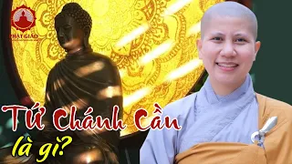 Tứ chánh cần là gì? SC Giác Lệ Hiếu | PGVN