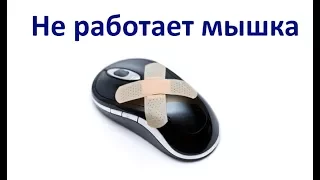 Не работает мышка на ноутбуке! Что делать?