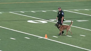 USPCA Region 12 Police K9 Dog Exhibition June 25 2023 HD