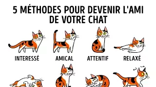 COMMENT MIEUX COMPRENDRE TON CHAT