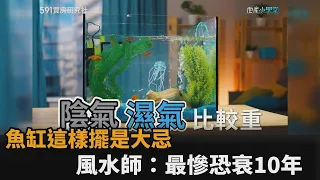 遇水則發？風水師解析魚缸這樣擺是大忌　居家陰氣重最慘恐衰10年－民視新聞