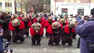 ROMANIA The tradition of bears