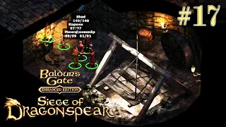 Подвал замка Драконьего Копья — Baldur’s Gate: Siege of Dragonspear Прохождение DLC #17