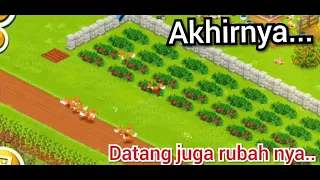 Cara berburu dan punya banyak rubah di game Hay day PART 2 | Hay day #64