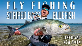 The Spring Run, Fly Fishing the Ocean and Back Bays for Striped Bass and Bluefish