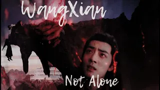 [ENG] The Untamed MV || Not alone