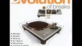 Evolution of Breaks (full)