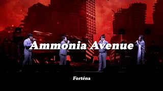 [📹For_LiveCam] 포르테나(Forténa) - Ammonia Avenue ｜❮팬텀싱어4❯ Libelante X Forténa 전국투어 콘서트