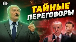 Лукашенко ведет тайные переговоры с Китаем и Турцией: инсайд Маломужа