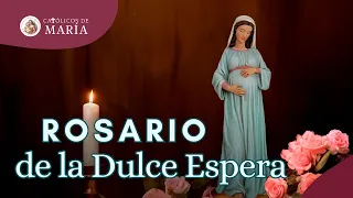 🌹 Rosario de la DULCE ESPERA | Para embarazadas (con texto)