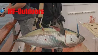 San Diego Offshore Fishing - Pacific Voyager 3 Day - YELLOWFIN BLUEFIN DORADO