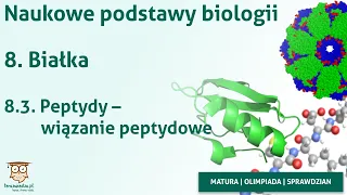 Naukowe podstawy biologii | 8.3. Peptydy - wiązanie peptydowe