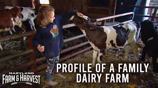 Profile of a Dairy Farm | Maryland Farm & Harvest