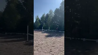 Baby jumps