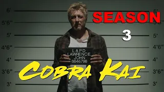 Cobra Kai Season 3: Review