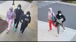 Police working to identify suspects wanted for shoplifting at Tanger Outlets