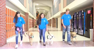 Dobie HS students train puppies to be guide-dogs for the visually impaired