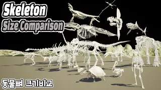 Skeleton Size Comparison (동물뼈 크기비교) (Feat. Dino & Animals)