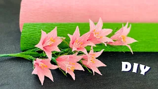 How To Make Campanula Paper Flower DIY Paper Craft Ideas Tutorial