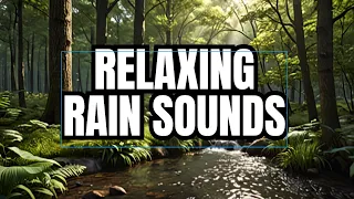 Rain Sound - Deep Forest for Sleeping, Relax, Study, insomnia, Reduce Stress   & Focus