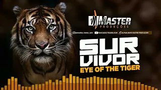 SURVIVOR EYE OF THE TIGER / FLASH REGGAE REMIX MASTER PRODUÇÕES