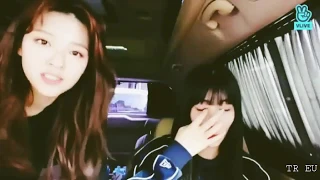 TWICE JEONGMO // EVERYDAY I LOVE YOU