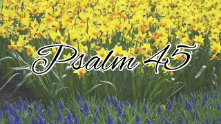 Psalm 45 - NLT Audiovisual