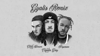 Capella Grey feat. Chris Brown & Popcaan - Gyalis (REMIX)