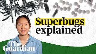 Superbugs explained: what they are and what a post-antibiotic future could look like