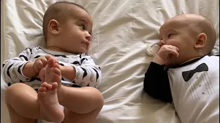 двойня разговаривает между собой | first twins dialogues