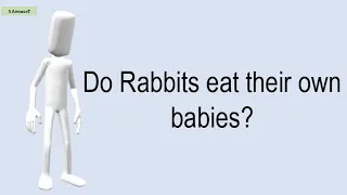Do Rabbits Eat Their Own Babies?