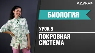 Покровная система человека| Биология ЦТ, ЕГЭ