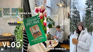 ЭТА КНИГА ПОМОЖЕТ ПОБЕДИТЬ НЕЧИТУН | Бакман «Здесь была Бритт-Мари» 📚