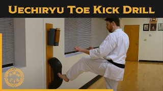 The Uechiryu Sokusen Geri - How to get a Stronger Karate Toe Kick