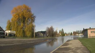 Cleanup begins in Sumas as floodwaters continue to recede