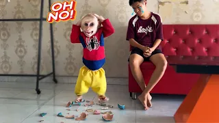 Monkey Max Accidentally Broke Piggy Bank Making Dad Cry