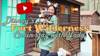 The Cabins at Disney’s Fort Wilderness Resort Staycation with our dog!