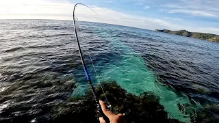Huli agad sa Unang Hagis Palang! | Shore fishing | Palawan Philippines