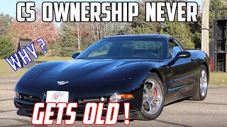 C5 Corvette Ownership Never gets OLD (Here's why - even after 10 years)