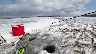 ЭКСТРЕМАЛЬНАЯ РЫБАЛКА! ЧЕРНОИСТОЧИНСКИЙ ВОДОЕМ! ХУЖЕ ПОГОДА, ЛУЧШЕ КЛЕВ! ВЕСЕННЯЯ РЫБАЛКА НА УРАЛЕ!