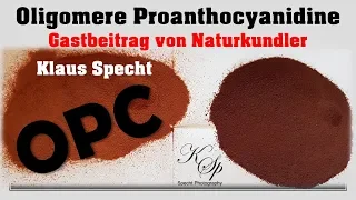 OPC - Oligomere Proanthocyanidine - vergessenes Heilmittel !